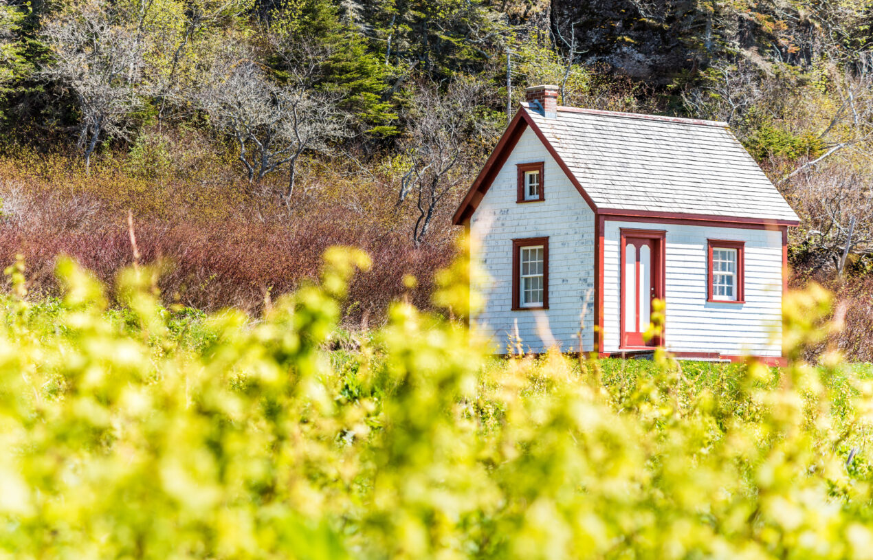 4 Big Reasons to Buy a Tiny House in 2023