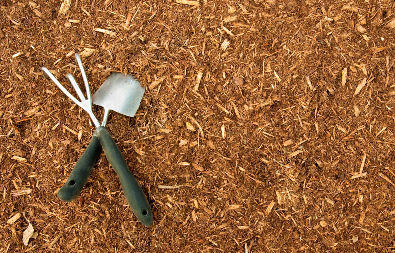 A Guide to the Different Types of Mulch