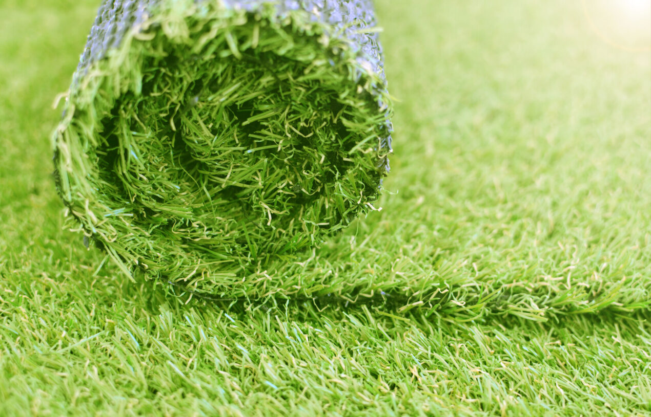 Before You Start Painting Grass: How to Keep Your Lawn Healthy