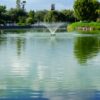 Understanding The Importance of Lake Aeration