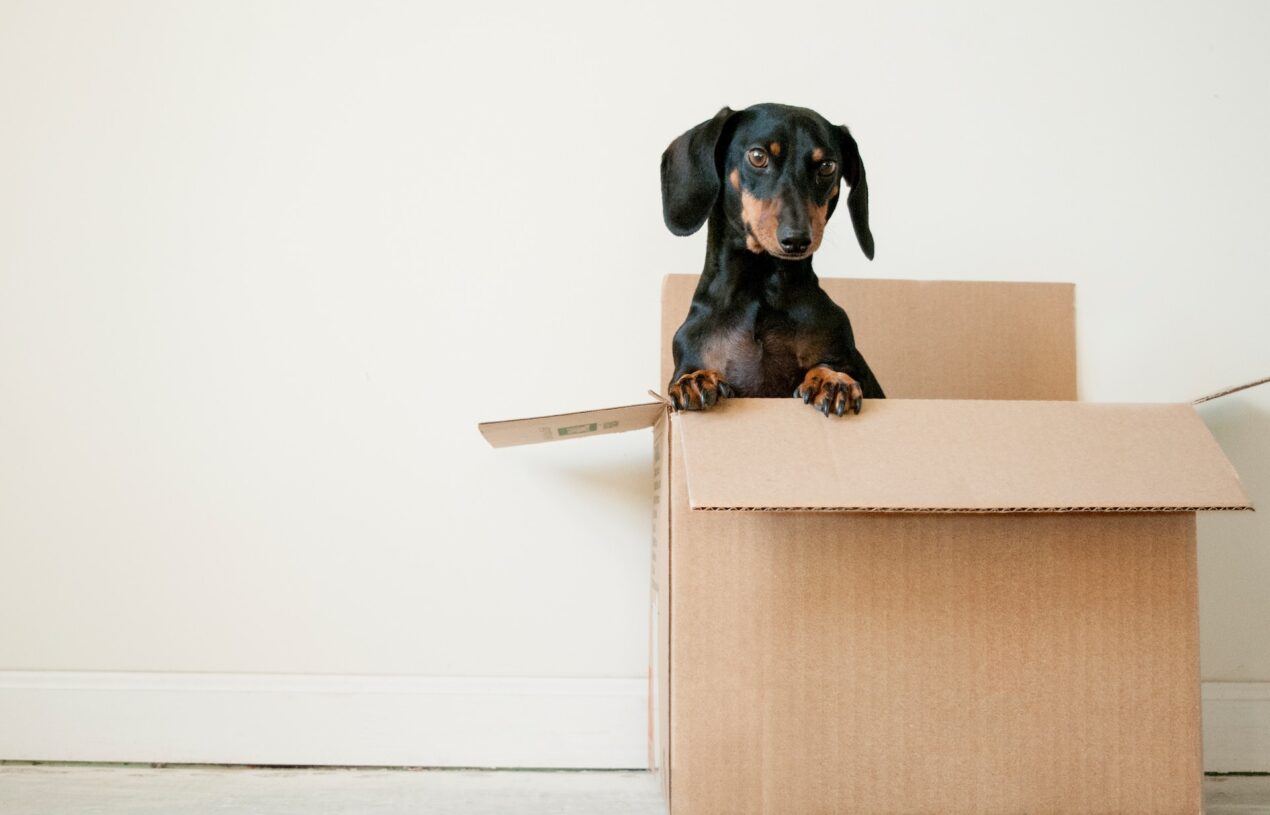 The Ultimate Guide to Choosing a Moving Company: Key Factors to Consider
