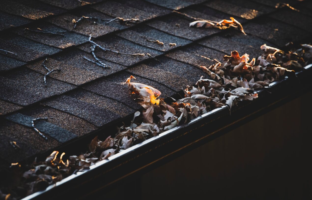 Expert Tips for Maintaining Your Gutters All Year Round