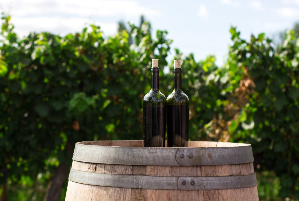 8 Tips to Buy Quality Wine on a Budget