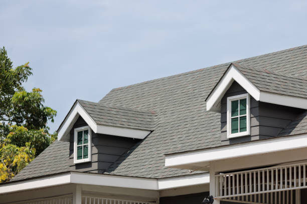 Innovative Trends in Roofing Solutions